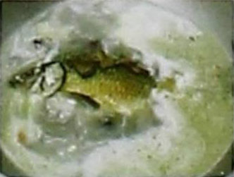 川芎天麻鲤鱼汤的做法