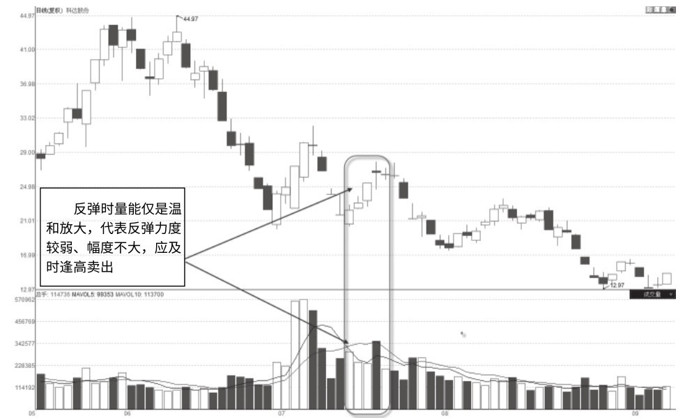 2.1 温和式放量