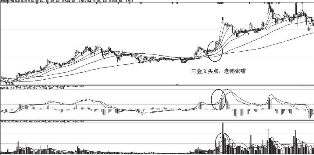 8.7 千金难得老鸭头