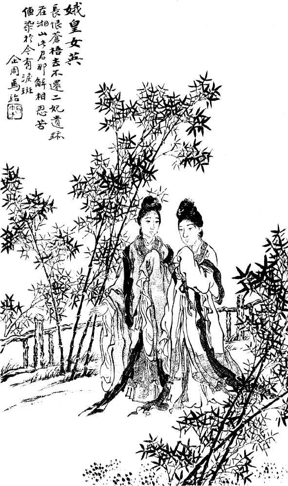 情深泪洒湘妃竹