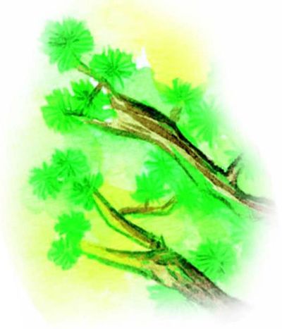 中华成语故事：后生可畏