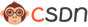 CSDN