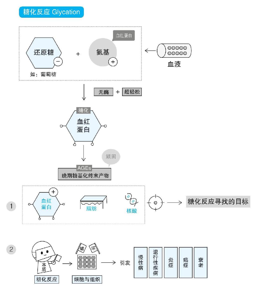 戒糖，从复杂的糖尿病说起