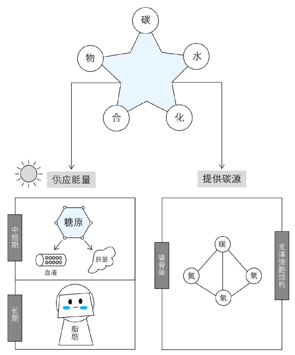 “生酮饮食”真的健康吗？