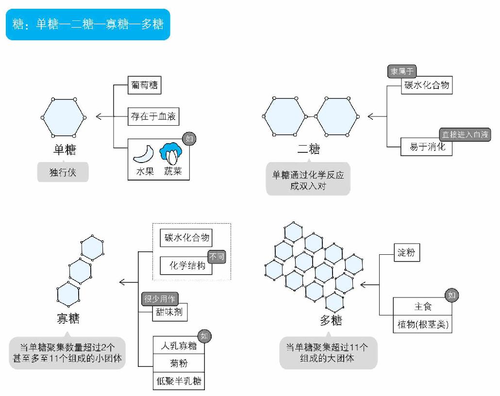 揭秘糖类家族