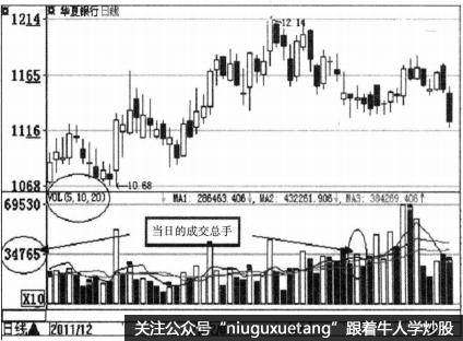 什么是VOL指标？VOL指标的基本原理与计算方法