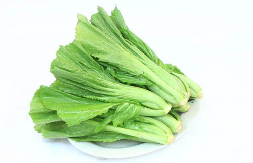 芥菜的认识与选购技巧