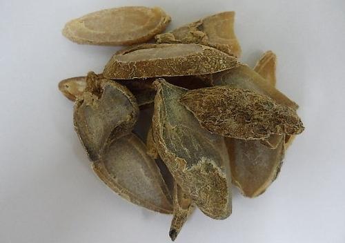 郁金的认识与选购技巧