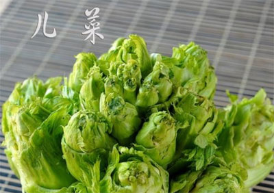 儿菜的认识与选购技巧