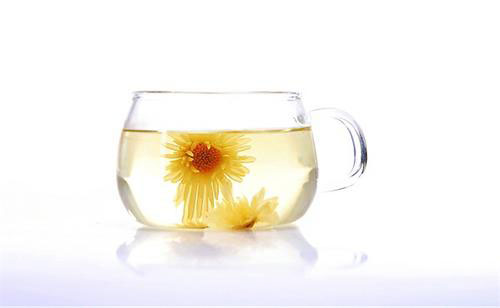 菊花的认识与选购技巧
