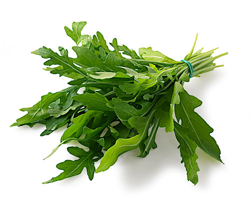 芝麻菜的认识与选购技巧