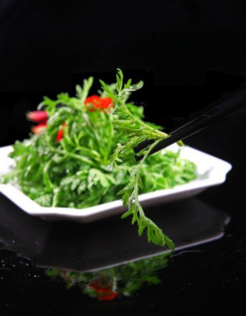茼蒿的认识与选购技巧