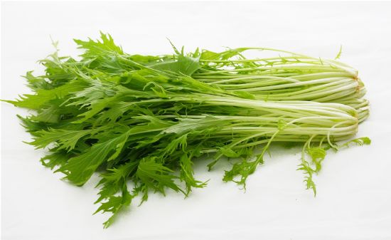 京水菜的认识与选购技巧
