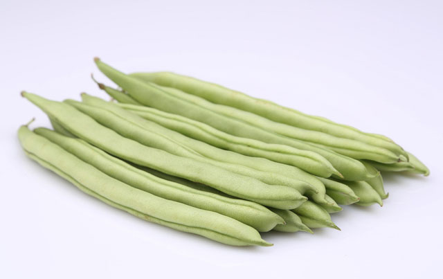四季豆的认识与选购技巧