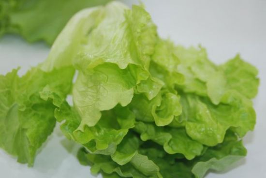 球生菜的认识与选购技巧