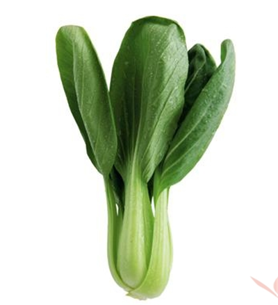 青江菜的认识与选购技巧