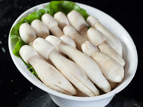 鸡腿菇的认识与选购技巧