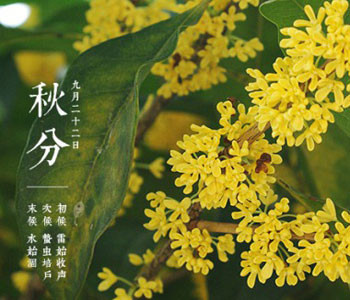 秋分节气的由来