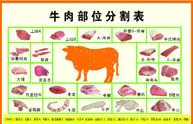 牛肉分割.jpg