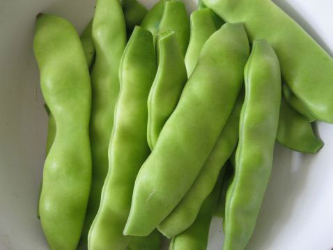油豆角的认识与选购技巧