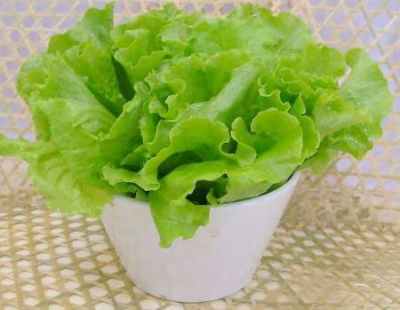 生菜的认识与选购技巧