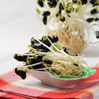 女性预防贫血，牛奶也不能喝？