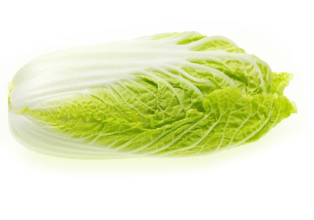 大白菜的认识与选购技巧