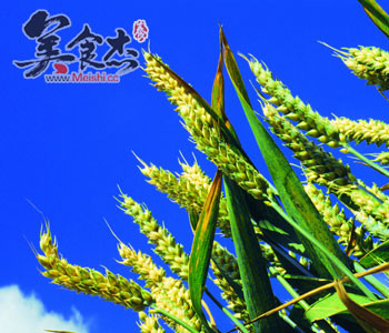 小满节气的习俗