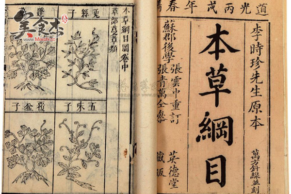 “本草”的起源与“纲目”的含义