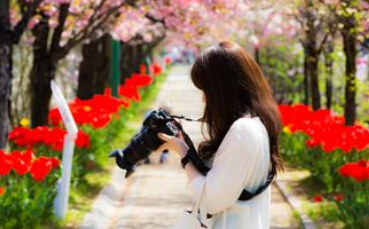 一场瘟疫“送来”1500万美元