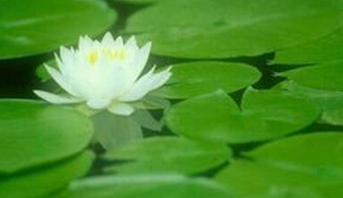 做精品必有静气
