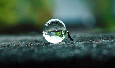 拥有梦想的人只做证明题，不做选择题