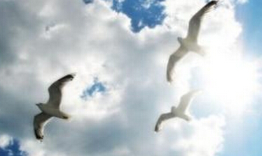 永不卑贱，永不虚伪，永不残忍